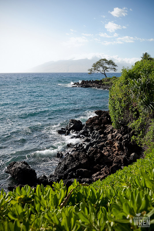 Maui Island Orange County Wedding Photographer